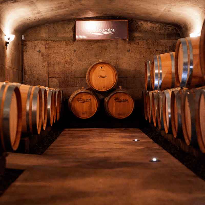 vignoble-VRDC_1 vignoble-VRDC_1