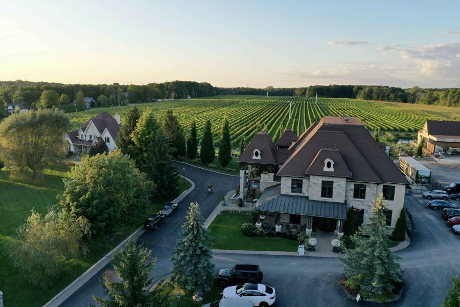 vignoble-VRDC_8 vignoble-VRDC_8