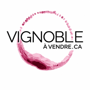 LOGO VIGNOBLE À VENDRE LOGO VIGNOBLE À VENDRE